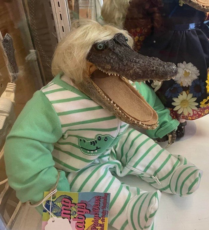 1751502873 23 15 vezes em que algumas ideias de produtos passaram os 1651529545 16 15 Vezes em que algumas ideias de produtos passaram os