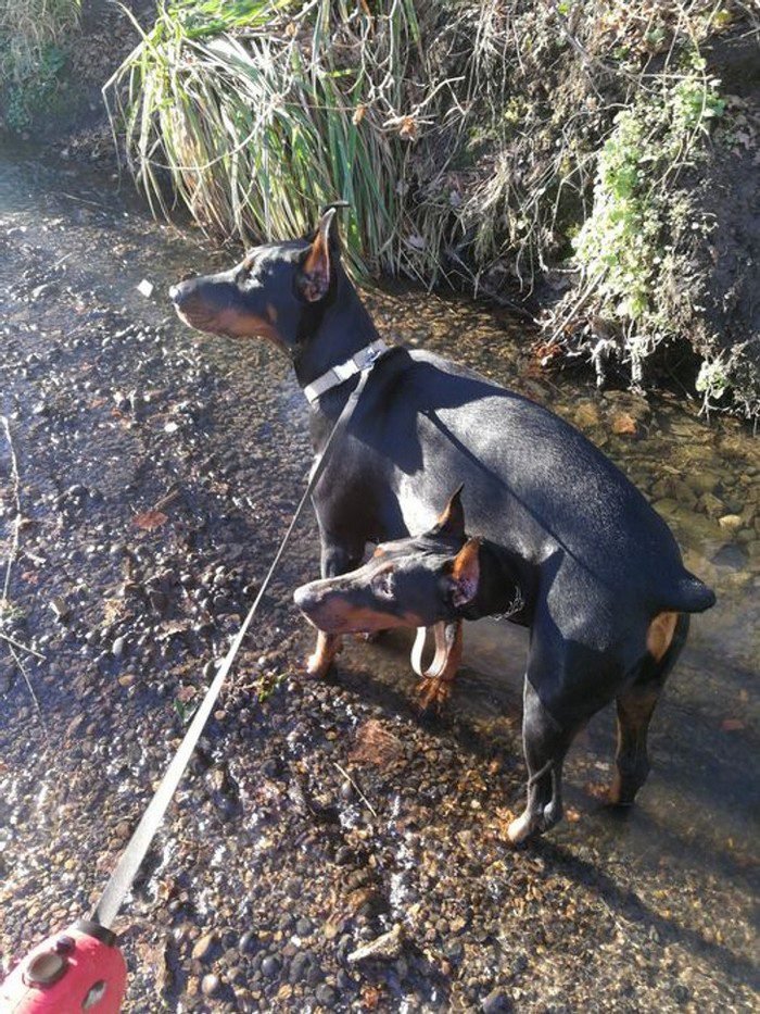 1648150528 460 20 Fotos confusas que podem enganar ate o cerebro mais