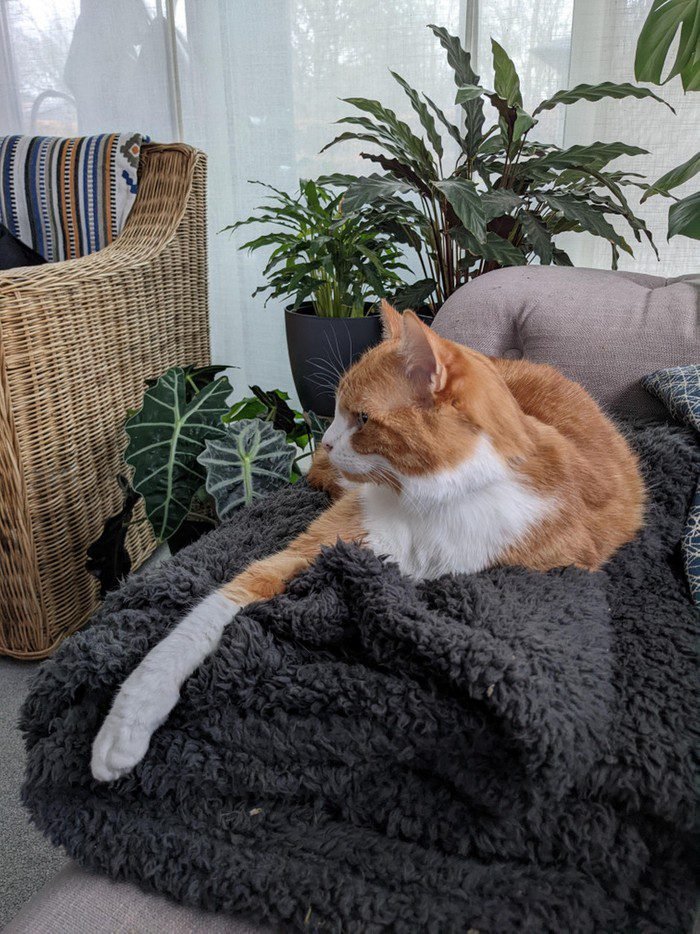 1648150529 869 20 Fotos confusas que podem enganar ate o cerebro mais