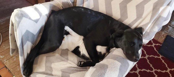 1648150533 820 20 Fotos confusas que podem enganar ate o cerebro mais