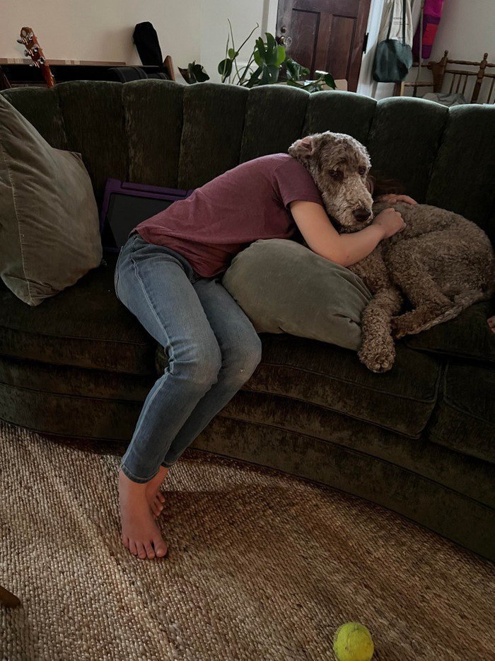 1648150535 598 20 Fotos confusas que podem enganar ate o cerebro mais