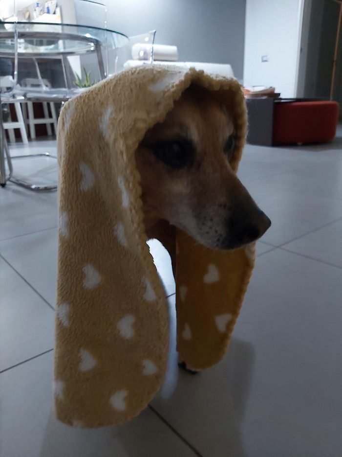 1648150535 201 20 Fotos confusas que podem enganar ate o cerebro mais