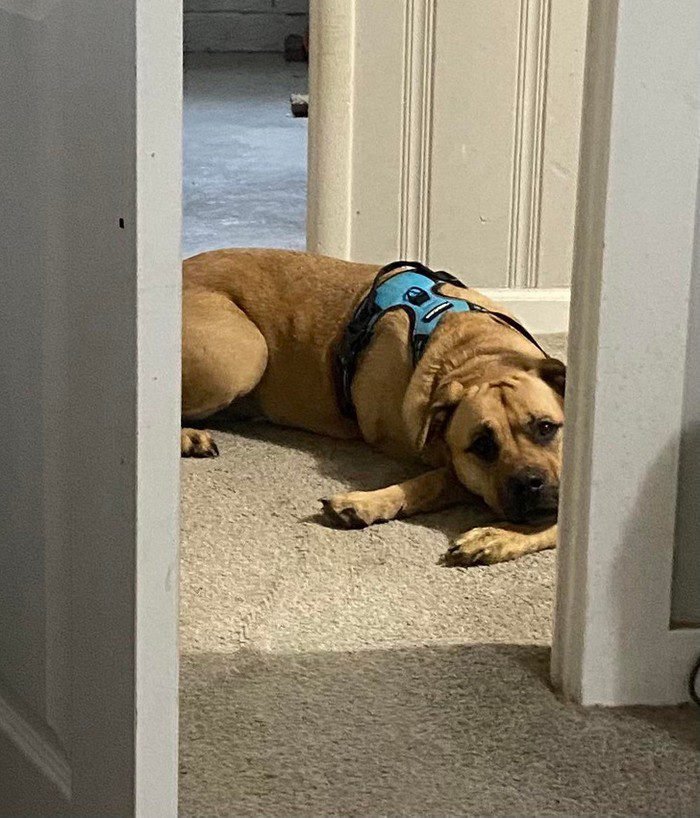 1648150539 76 20 Fotos confusas que podem enganar ate o cerebro mais