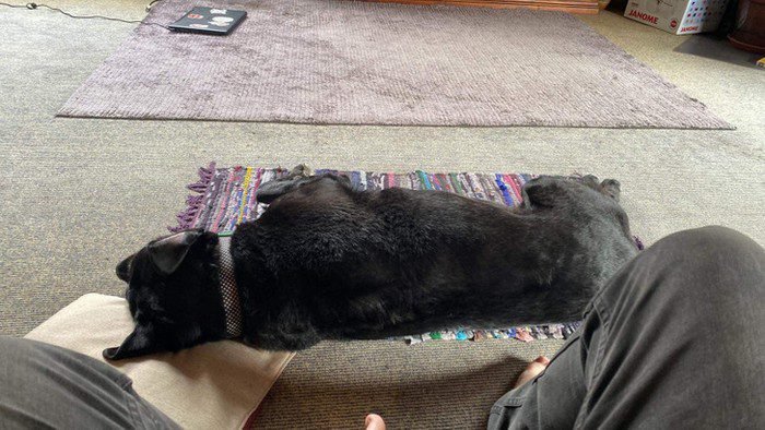 1648150540 457 20 Fotos confusas que podem enganar ate o cerebro mais