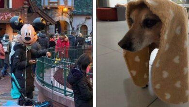 20 fotos confusas que podem enganar até a maioria dos cérebros