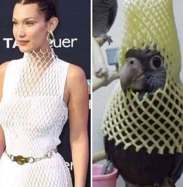 1646880882 569 20 Vestidos de gostos um tanto duvidosos que viraram piada