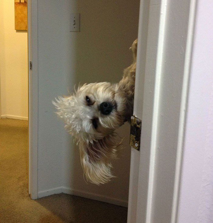 1655261140 585 24 Vezes que as pessoas foram surpreendidas por seus parentes