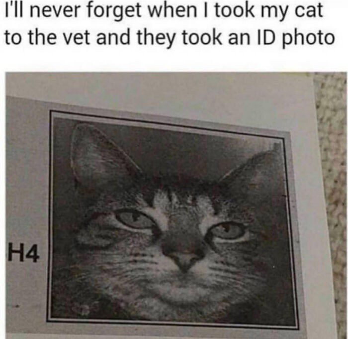 1751503395 520 22 pessoas hilarias que levaram suas fotos de identidade a 1654117829 872 22 Pessoas hilarias que levaram suas fotos de identidade a