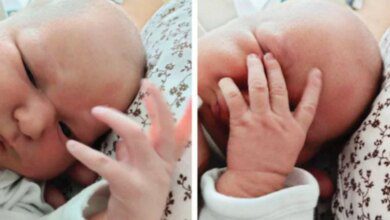 18 Bebês fofos que já nasceram na terceira idade