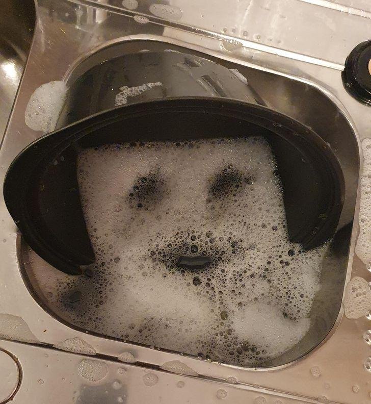 1751503526 93 16 fotos que nao poderiam ter sido tiradas em melhor 1636433645 472 16 Fotos que nao poderiam ter sido tiradas em momento