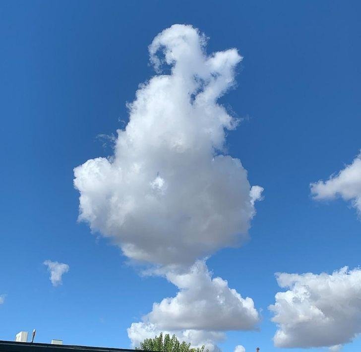 1751503530 233 16 fotos que nao poderiam ter sido tiradas em melhor 1636433649 118 16 Fotos que nao poderiam ter sido tiradas em momento