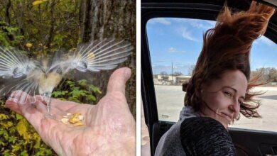 16 fotos que não poderiam ter sido tiradas em melhor hora