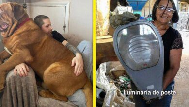 1751503735 15 vezes em que as comparacoes de tamanho entre humanos 15 Vezes em que as comparações de tamanho entre humanos e objetos foram surpreendentes