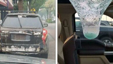 1751503955 23 vezes em que o poder da natureza frustrou todos 23 Vezes em que o poder da natureza frustrou todos os planos