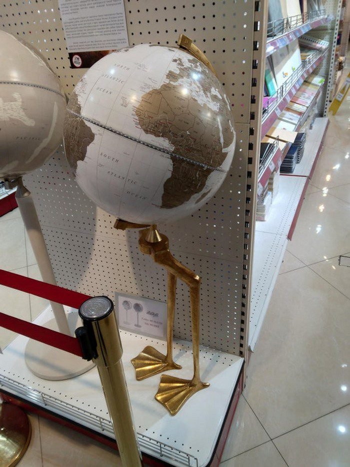 1652320009 466 13 Vezes em que as pessoas se depararam com coisas