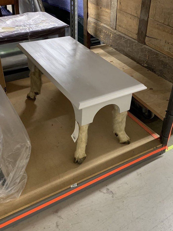 1652320011 561 13 Vezes em que as pessoas se depararam com coisas