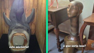 13 vezes que as pessoas se depararam com coisas estranhas e decidiram compartilhá-las