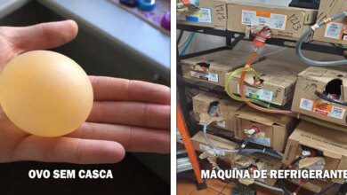 16 fotos que mostram como é o interior de alguns objetos do cotidiano