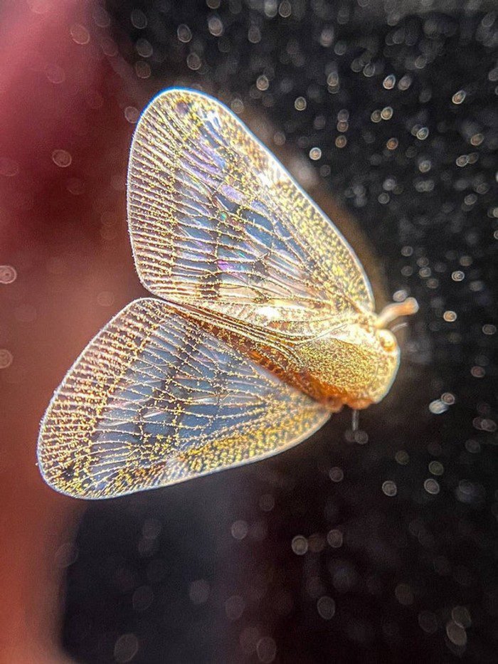 1646441253 819 15 Imagens que mostram que a criatividade esta ate nos