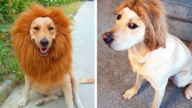 18 pessoas com expectativas altíssimas, mas a realidade os fez descer das nuvens