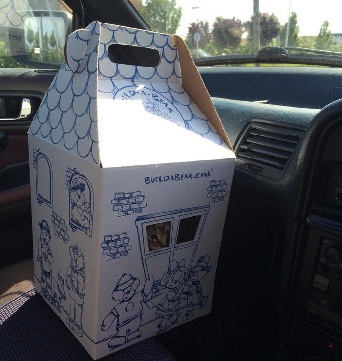 1751504393 115 18 pessoas que improvisaram como mestres 1655843175 813 18 Pessoas que se viraram no improviso como mestres