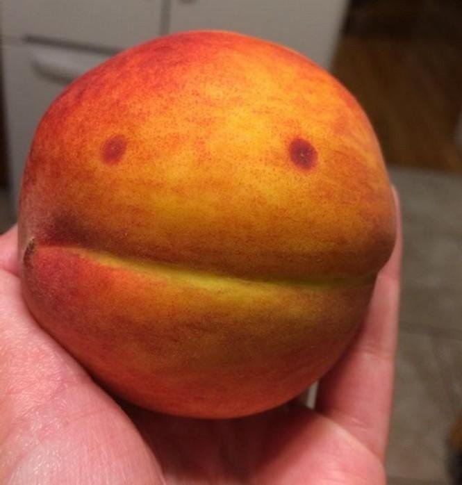 1751504887 261 13 vezes em que a mae natureza precisou ser censurada 1638814257 108 13 vezes em que a Mae Natureza precisou ser censurada