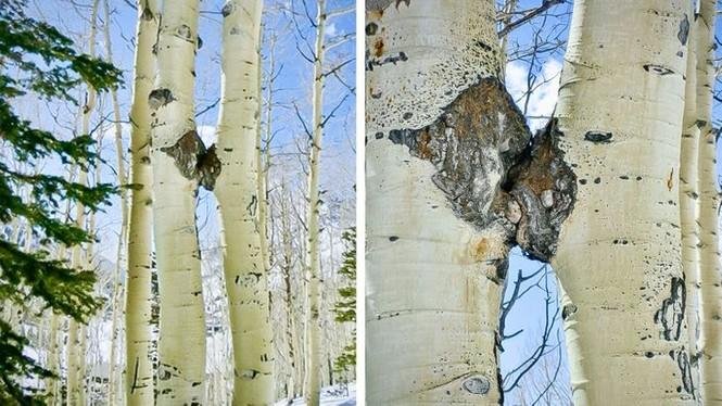 1751504889 427 13 vezes em que a mae natureza precisou ser censurada 1638814264 512 13 vezes em que a Mae Natureza precisou ser censurada