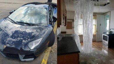 15 momentos em que as pessoas tinham um plano, mas a natureza tinha outro