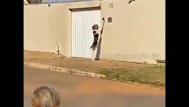 Cão é flagrado tocando a campainha da sua casa para entrar