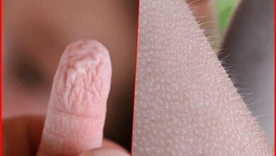 8 Alertas do Corpo Que Indicam que Seu Corpo Esta em Perigo!