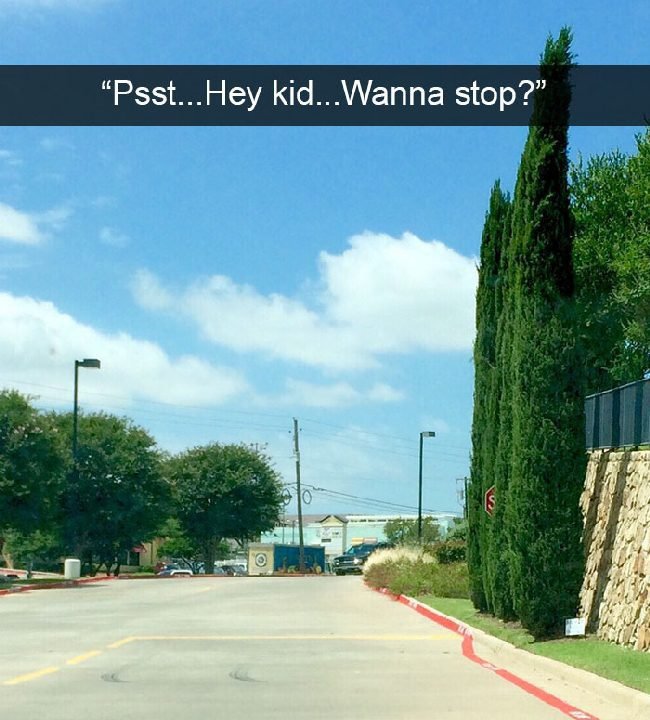 1751505840 69 16 pessoas que so tinham um emprego e falharam com 1658393713 381 16 Pessoas que so tinham um trabalho e falharam com