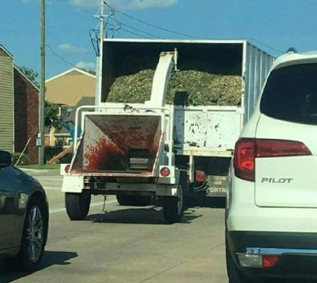 1658393716 160 16 Pessoas que so tinham um trabalho e falharam com