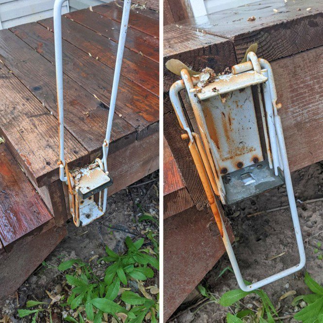 1647308394 678 15 objetos esquisitos que voce nao sabia pra que serviam