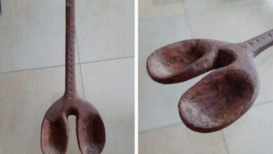 1647308405 238 15 objetos esquisitos que voce nao sabia pra que serviam