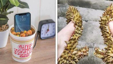 18 Vezes que os designers colocaram em prática suas ideias mais loucas e absurdas