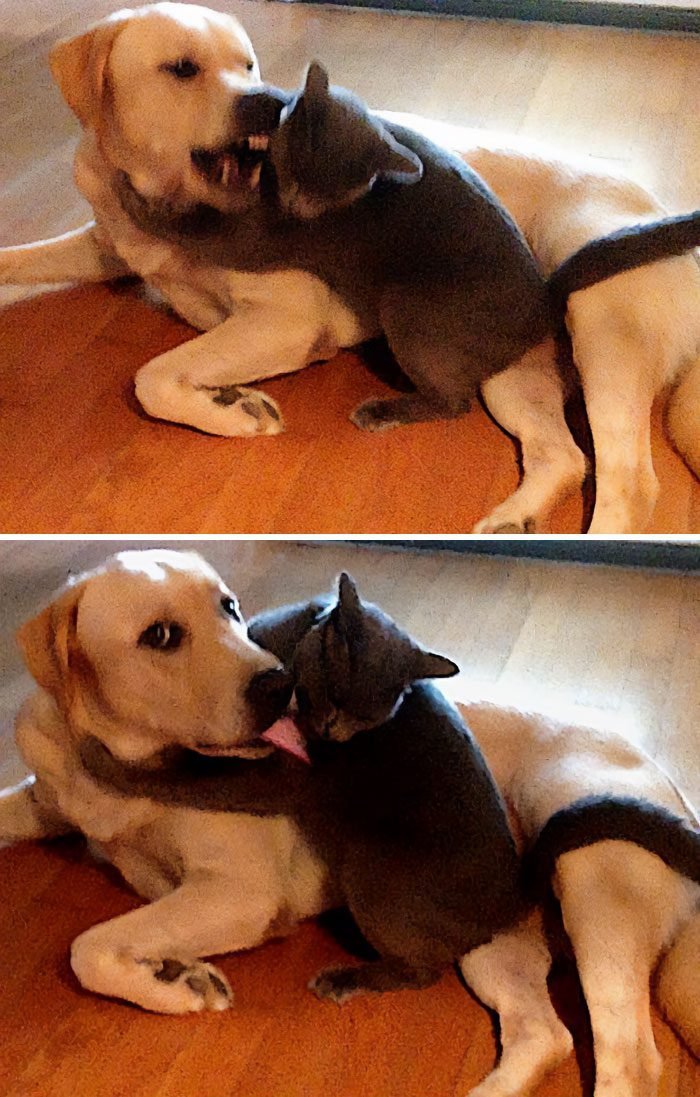1634763915 682 22 Fotos de antes e depois que sao incrivelmente satisfatorias
