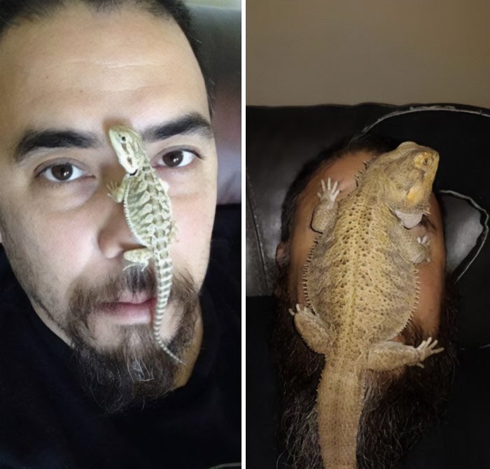 1751506834 765 22 antes e depois que sao incrivelmente satisfatorias 1634763920 721 22 Fotos de antes e depois que sao incrivelmente satisfatorias