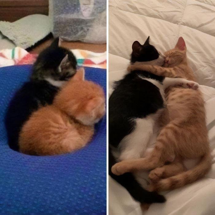 1751506842 225 22 antes e depois que sao incrivelmente satisfatorias 1634763926 348 22 Fotos de antes e depois que sao incrivelmente satisfatorias