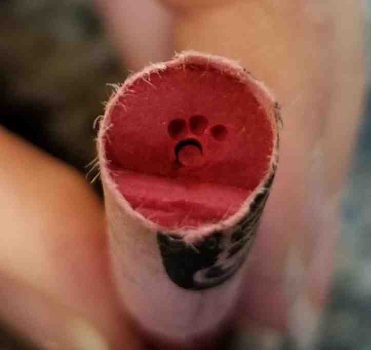 1659302524 312 19 internautas compartilharam detalhes que passam despercebidos pela maioria de