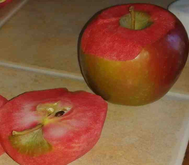 1751506874 614 19 internautas compartilharam detalhes que passam despercebidos pela maioria de 1659302530 659 19 internautas compartilharam detalhes que passam despercebidos pela maioria de