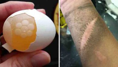 19 internautas compartilharam detalhes que passam despercebidos pela maioria de nós