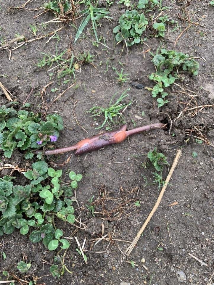 1617917332 298 17 pessoas que encontraram algo estranho e a Internet ajudou