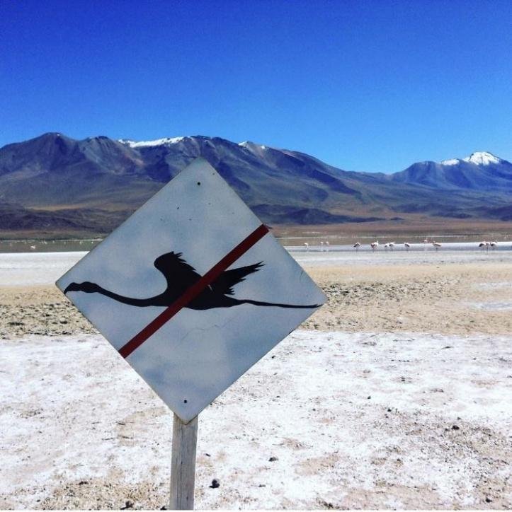 1617917335 166 17 pessoas que encontraram algo estranho e a Internet ajudou