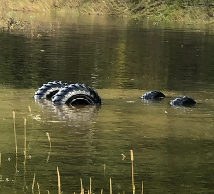 1658961643 805 20 Vezes em que as pessoas estavam tendo um dia
