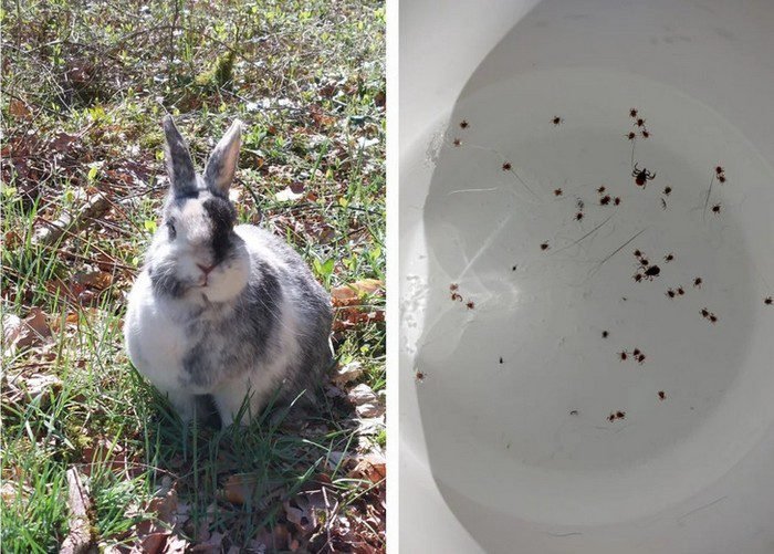 1658961646 63 20 Vezes em que as pessoas estavam tendo um dia