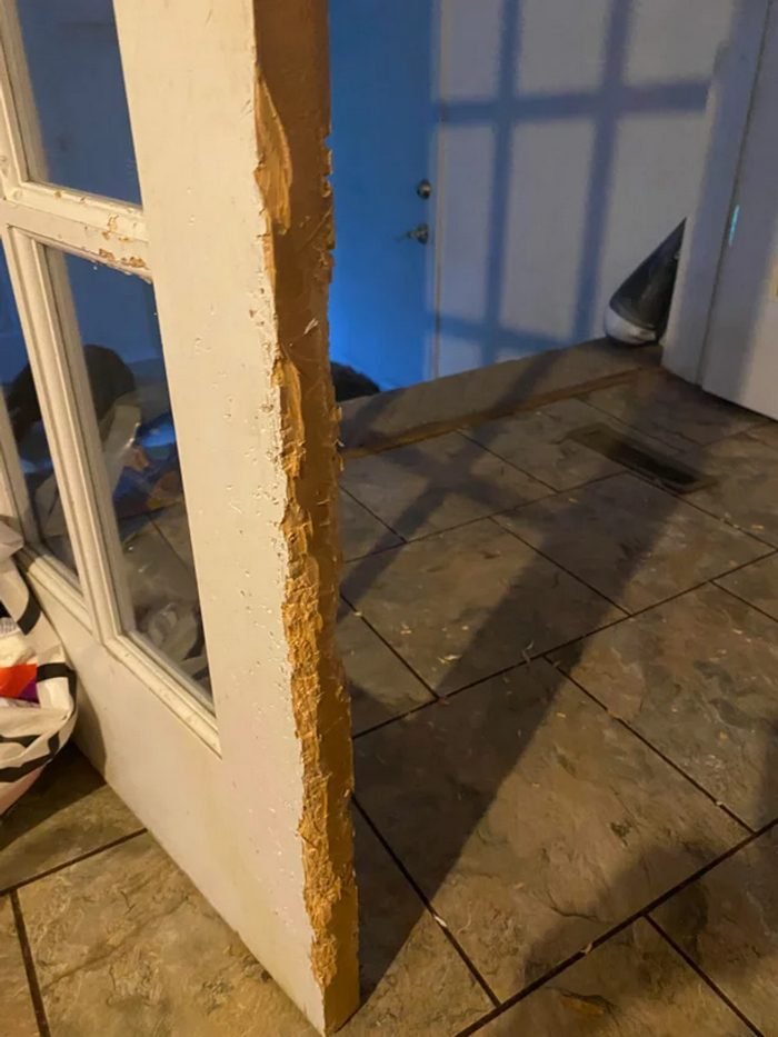 1658961652 154 20 Vezes em que as pessoas estavam tendo um dia