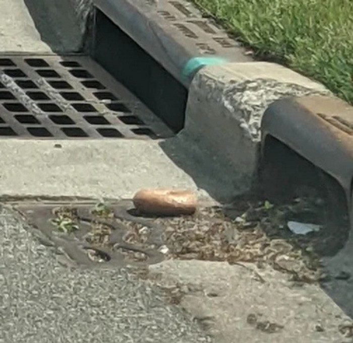 1658961654 229 20 Vezes em que as pessoas estavam tendo um dia