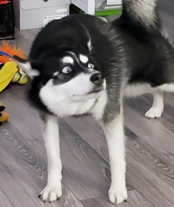 1658433619 183 15 Fotos de momentos que acabaram sendo mais engracados do