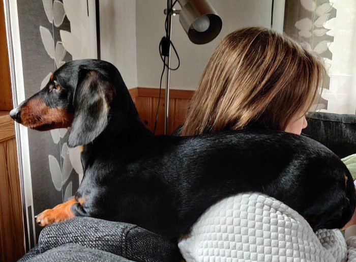 1658433621 793 15 Fotos de momentos que acabaram sendo mais engracados do