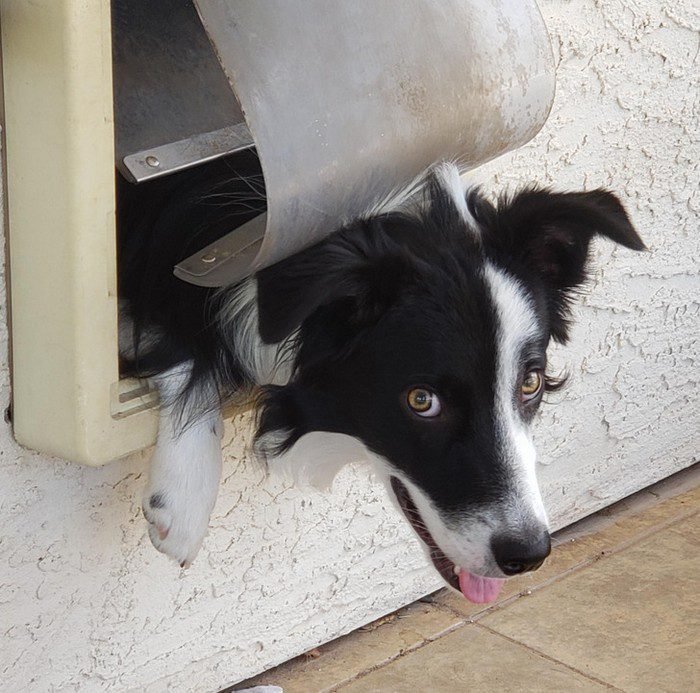 1658433621 93 15 Fotos de momentos que acabaram sendo mais engracados do